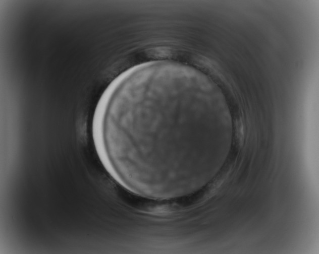 X0000087600267200705251928