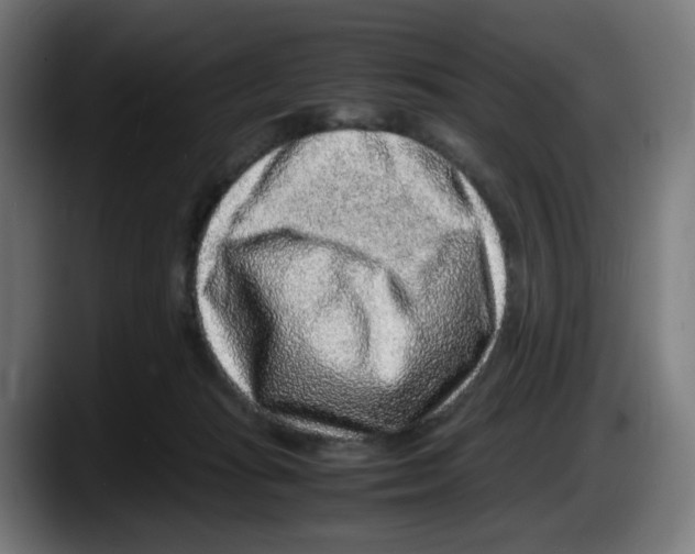 X0000087600269200705251928