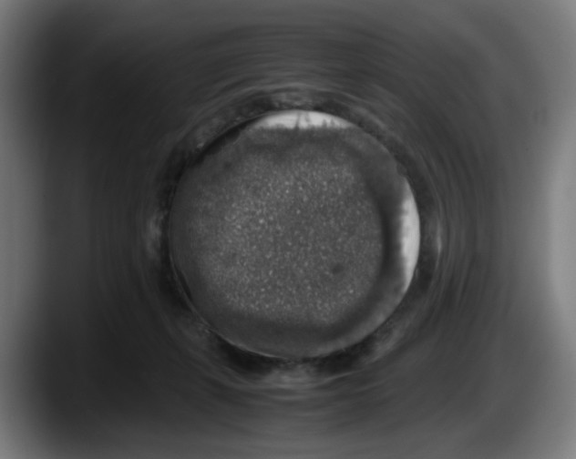 X0000087600271200705251928