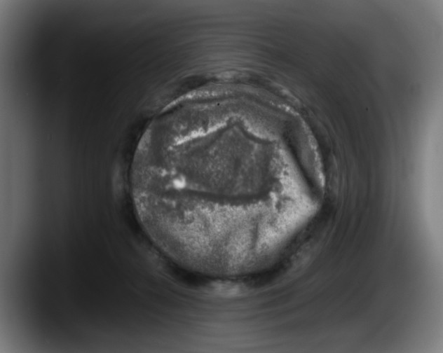 X0000087600272200705251928