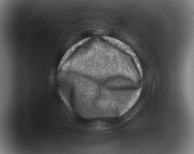 X0000087600273200705251928