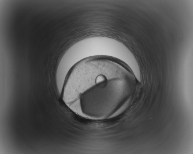 X0000087600276200705251928