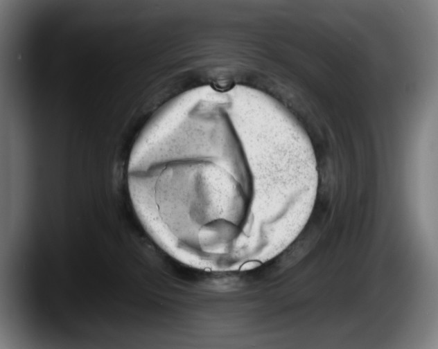 X0000087600278200705251928