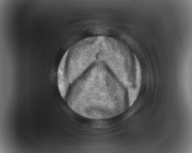 X0000087600281200705251928