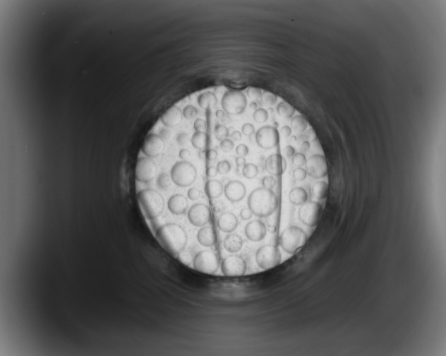 X0000087600282200705251928