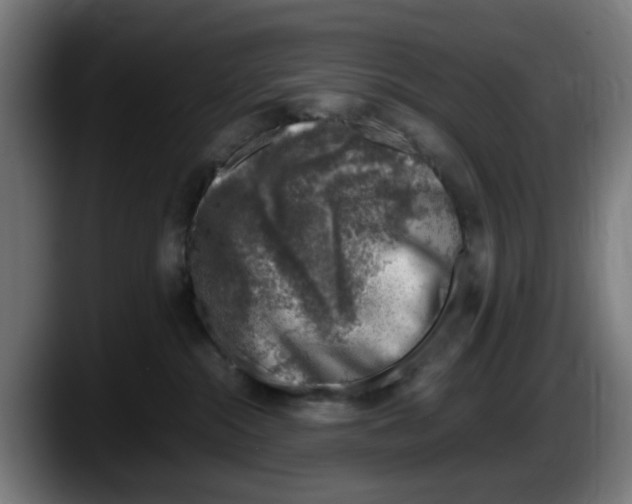 X0000087600284200705251928
