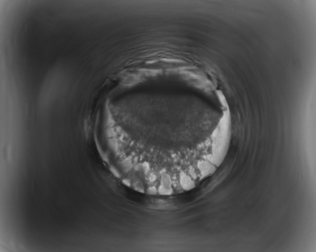 X0000087600285200705251928