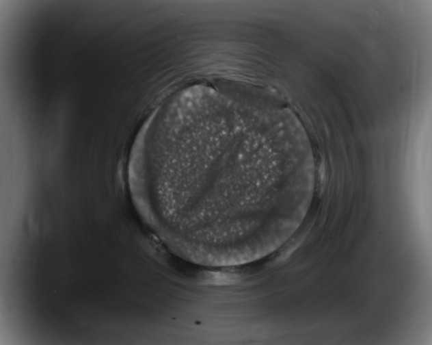 X0000087600286200705251928