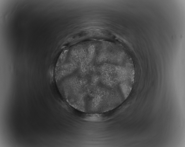 X0000087600288200705251928