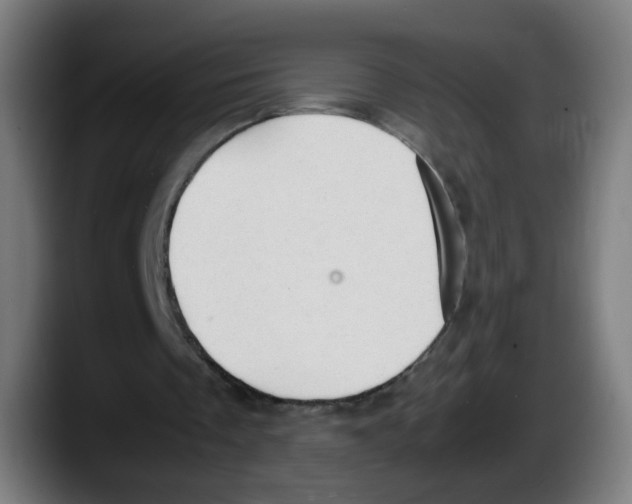 X0000087600289200705251928