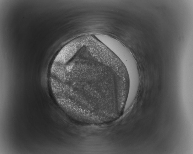 X0000087600290200705251928