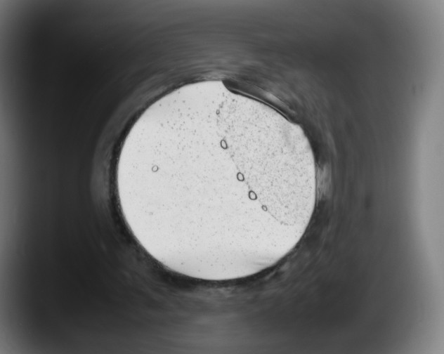 X0000087600291200705251928
