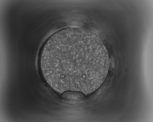 X0000087600292200705251928