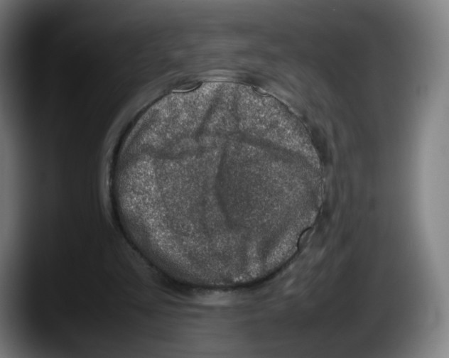 X0000087600293200705251928