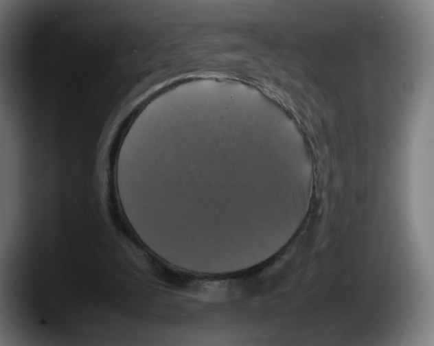 X0000087600295200705251928