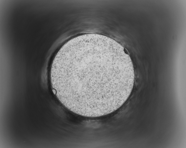 X0000087600296200705251928