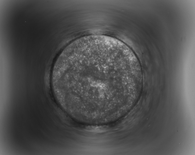 X0000087600297200705251927