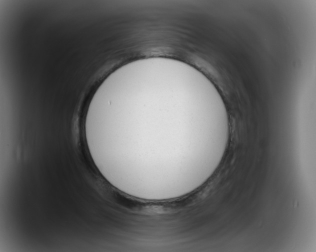 X0000087600298200705251927