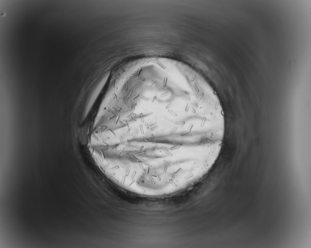 X0000087600299200705251927
