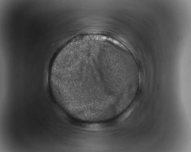 X0000087600301200705251927