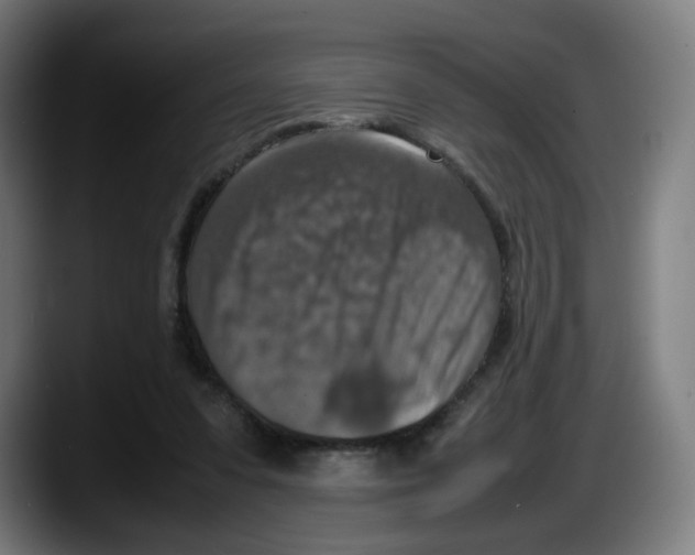 X0000087600303200705251927