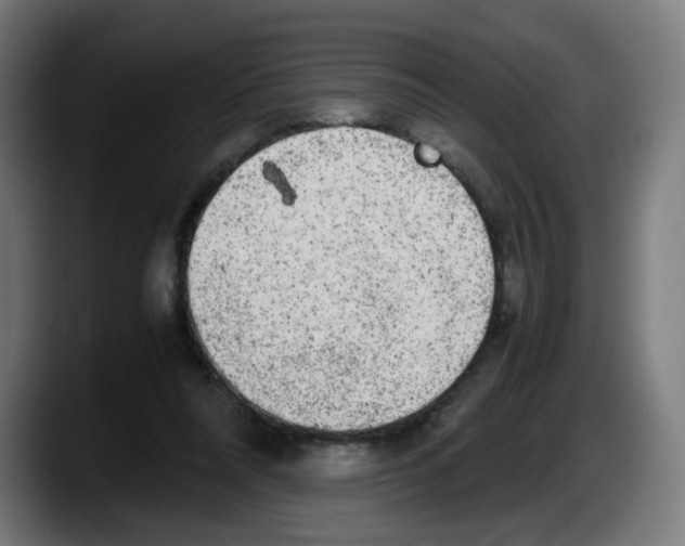 X0000087600304200705251927