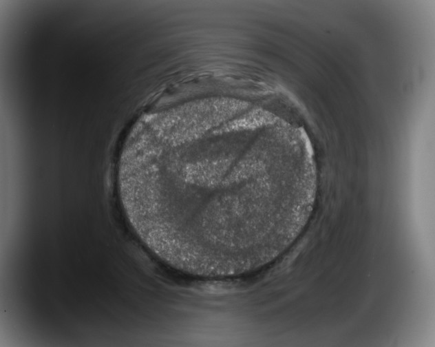 X0000087600305200705251927