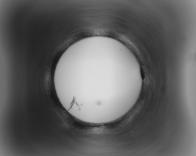 X0000087600306200705251927