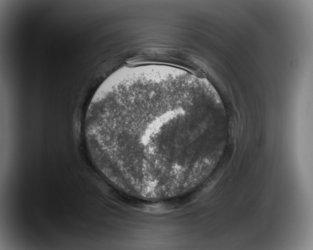 X0000087600309200705251927