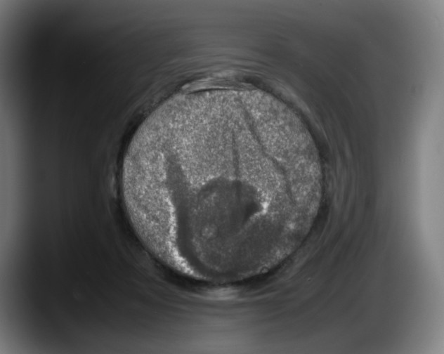 X0000087600313200705251927