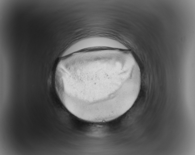 X0000087600315200705251927