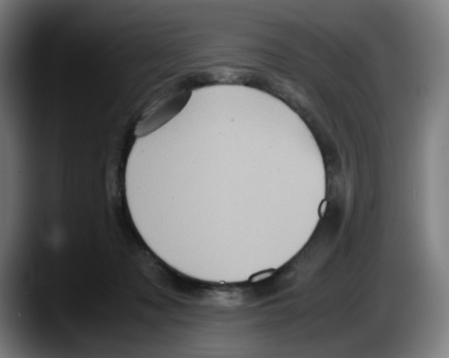 X0000087600317200705251927