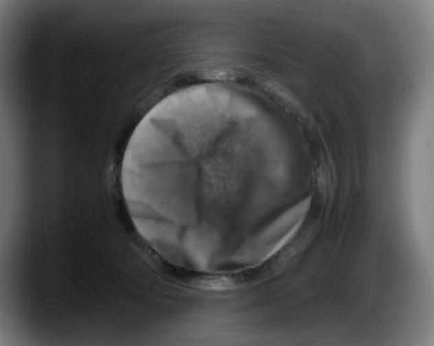 X0000087600322200705251927