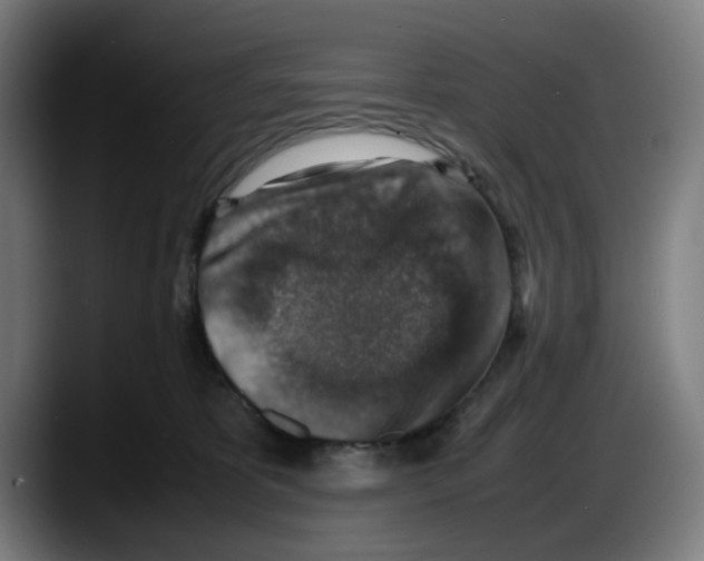 X0000087600325200705251927