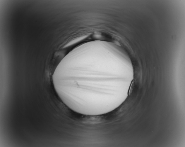 X0000087600329200705251927