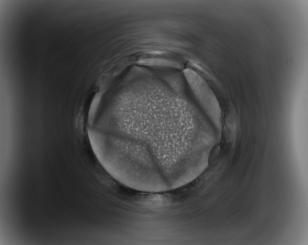 X0000087600330200705251927