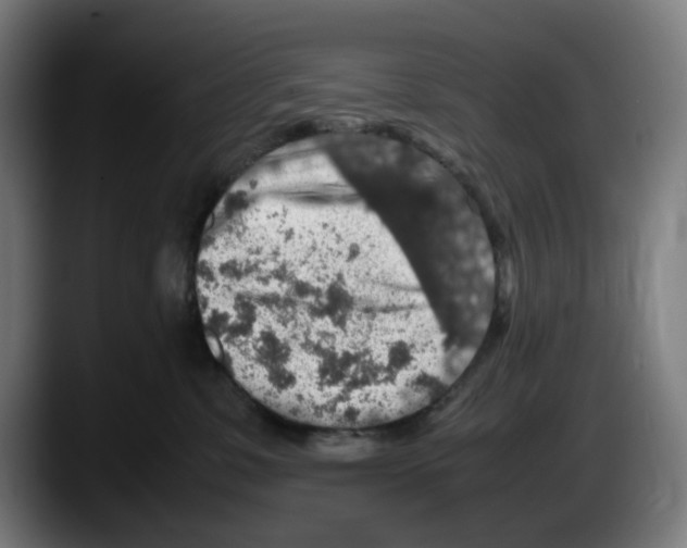 X0000087600331200705251927