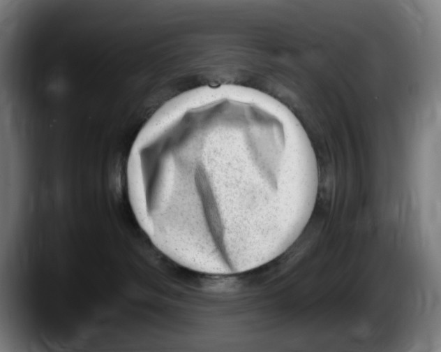 X0000087600334200705251927