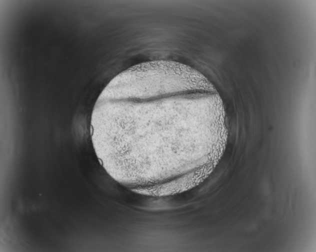 X0000087600335200705251927