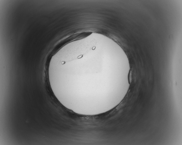 X0000087600338200705251926