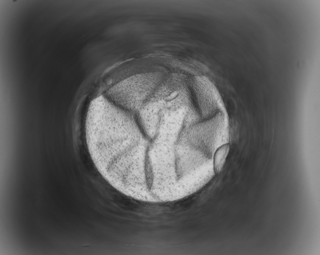 X0000087600339200705251926