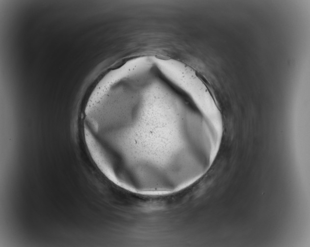 X0000087600340200705251926