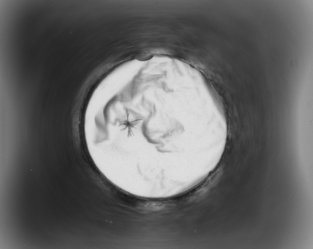 X0000087600341200705251926