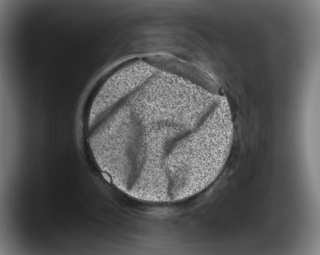 X0000087600342200705251926