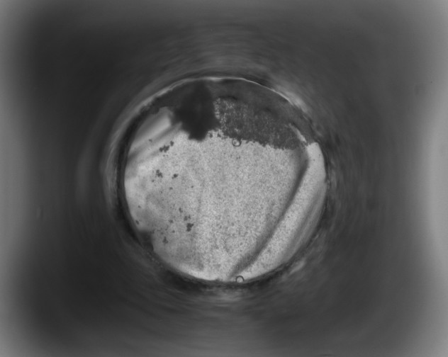 X0000087600343200705251926