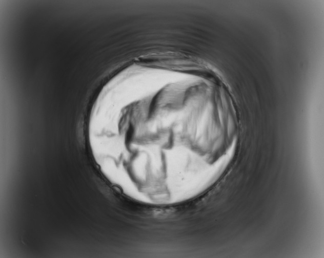 X0000087600345200705251926