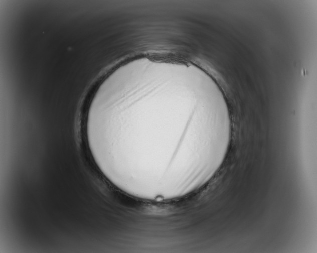 X0000087600346200705251926