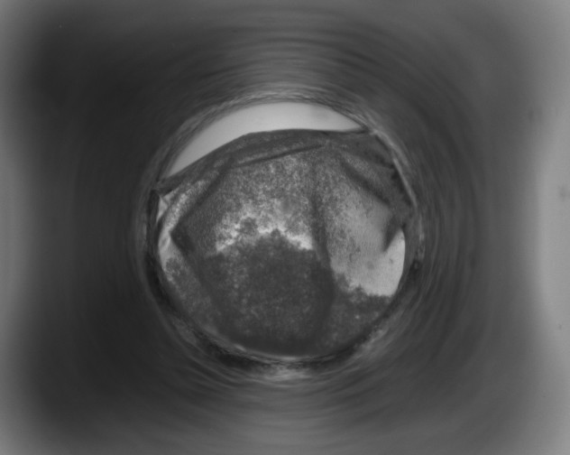 X0000087600348200705251927