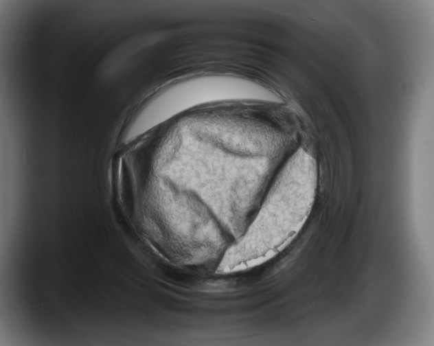 X0000087600349200705251927