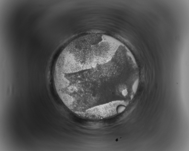 X0000087600351200705251927